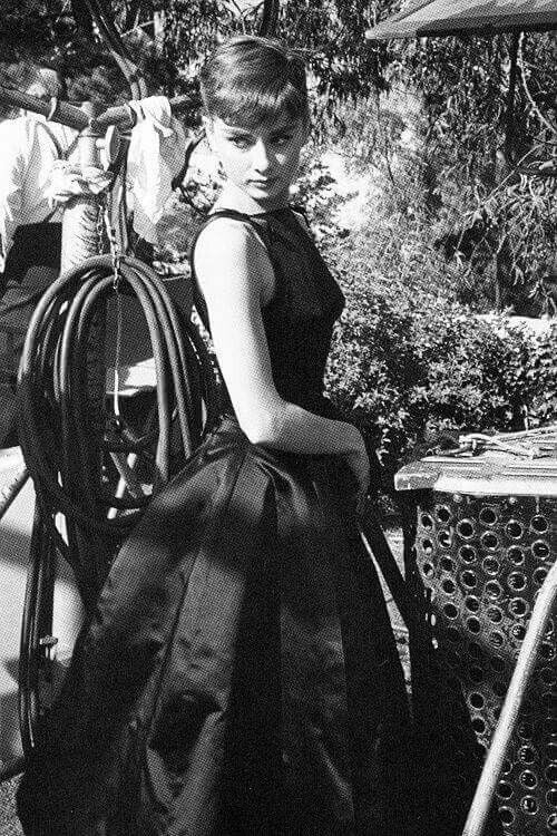 audrey collection